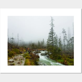 A Foggy Hike Posters and Art